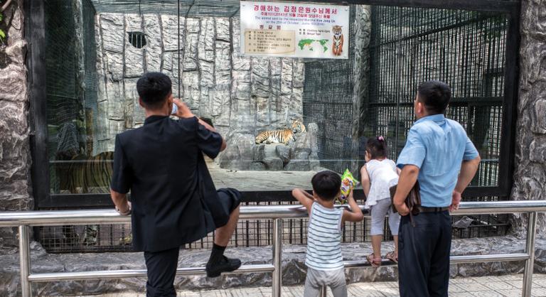 Több a beton, mint az állat Kim Dzsongun állatkertjében