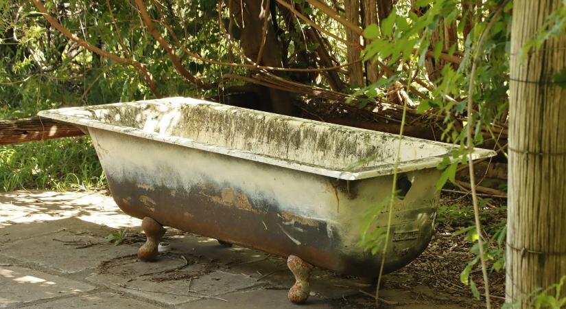 Salánki Zsófia kisprózája