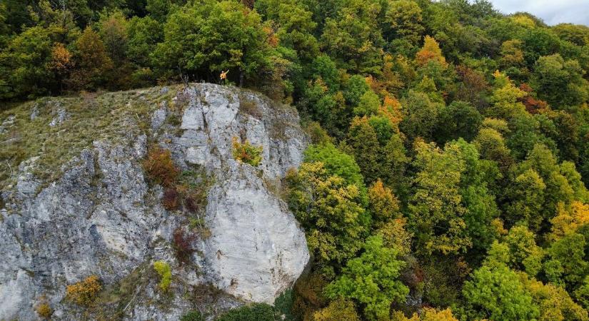 Tíz napja keresik az eltűnt miskolci nőt. A rendőrség a Pest Vármegyei Kutató-Mentő Szolgálattal megerősítve tovább folytatja a kutatást - videóval