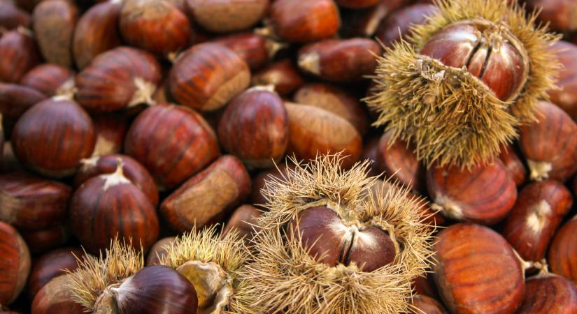 Gesztenyés receptek