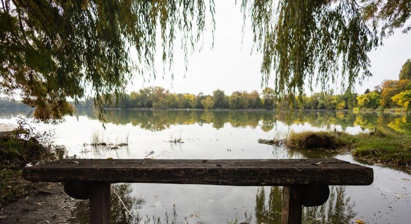 A köd mögül előbújik a nap, ilyen lesz a keddi időjárás Tatabányán