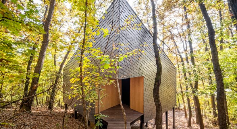 Álom a fák között: az artaM luxuskabin a Mátra szívében