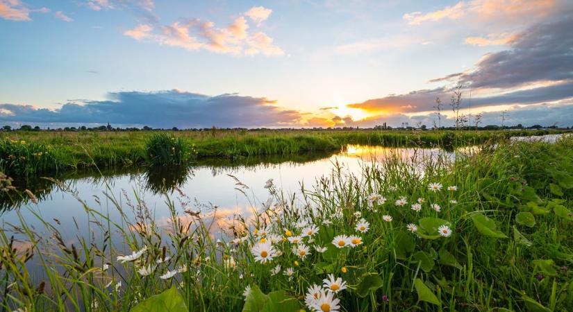 Vízhiány: itt a megoldás? A Pécsi Akadémiai Bizottság vizsgálódott az Ormánságban
