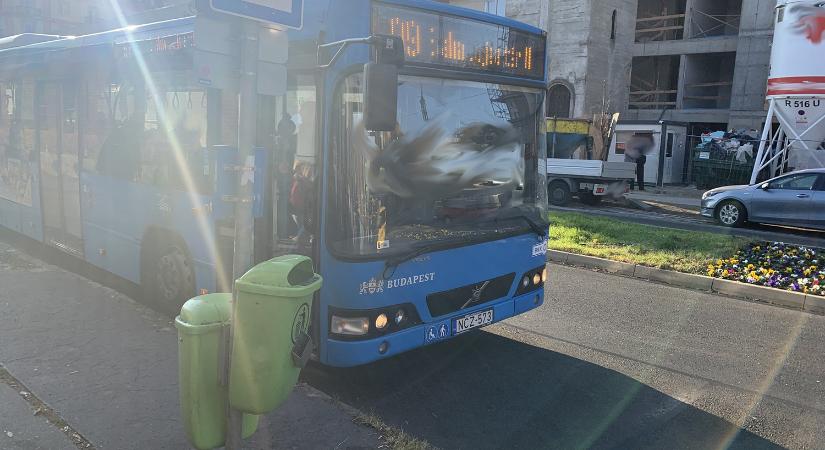 Példaértékű, amit egy magyar buszsofőr tett az iskolás gyerekekért