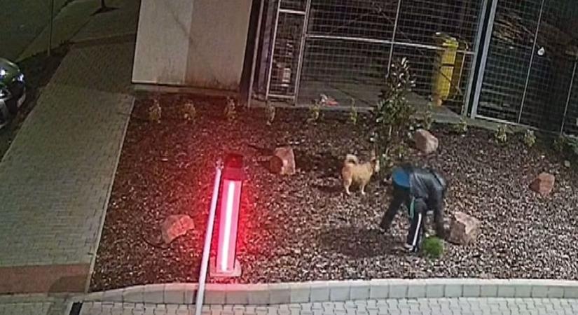 Hihetetlen jelenetet rögzített a biztonsági kamera egy szekszárdi autómosónál (videó)