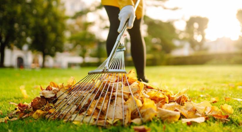 Érkezik a hideg, ezt kell most tenned a kertben