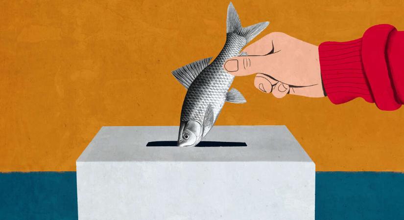 Murányi Renáta: Kampánypara – kiégek, kiégünk