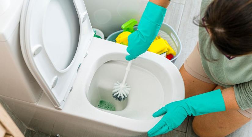 Árulkodó folt: mit árul el az egészségünkről, ha a széklet rátapad a vécécsészére?