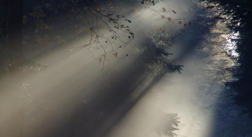 Visszatér a ködös idő, veszélyesen indul a kedd reggel!