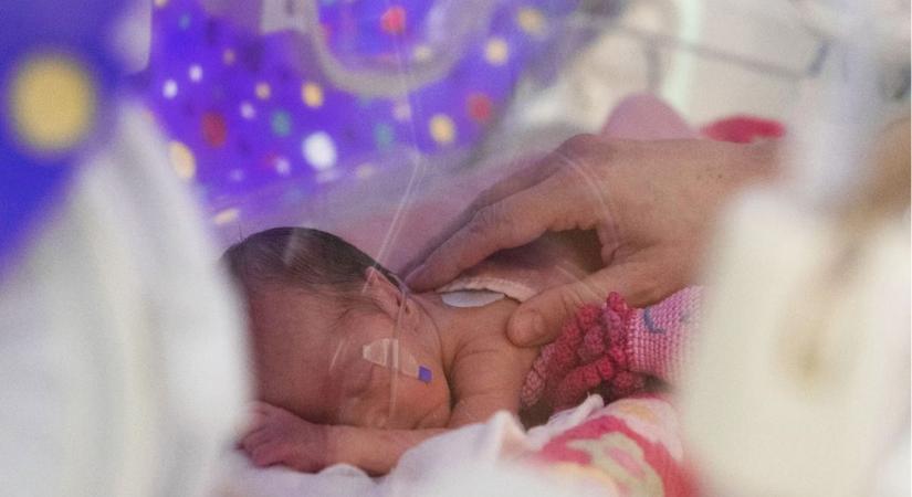 A korababák tiszteletére ezek a győri épületek lila fényárban tündökölnek majd - fotók