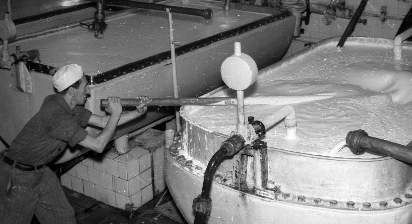 Tejfölszigorításra készül a kormány