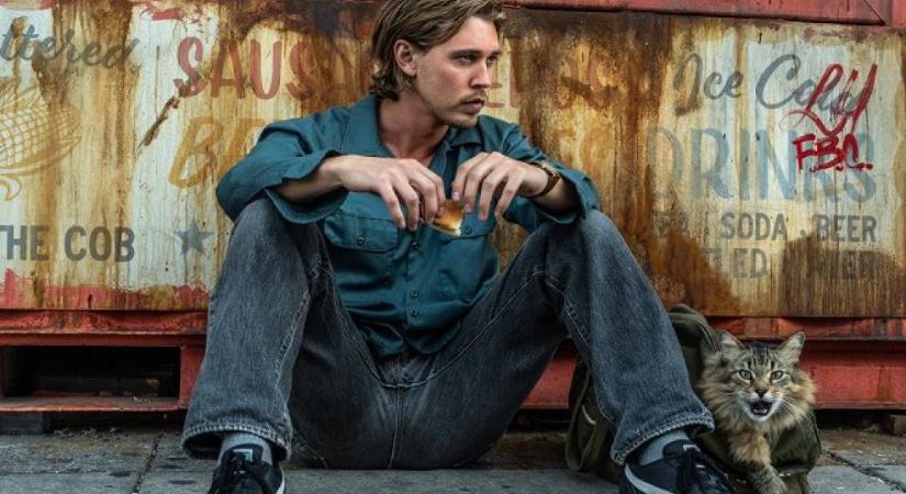 Rajtakapva: Műfajváltás (kritika)