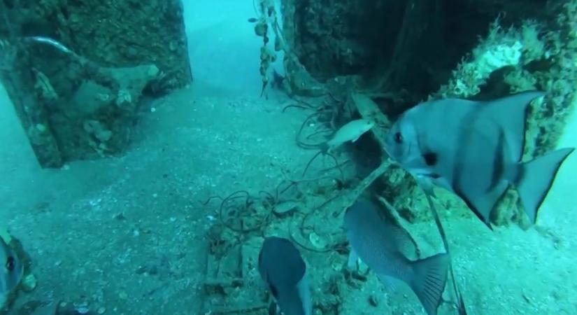 Amikor a metrókocsikból víz alatti városok születnek