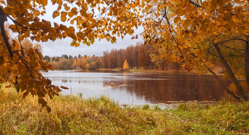 Időjárás 2025. november 11.: Ma a napos reggel után váratlan idő érkezik