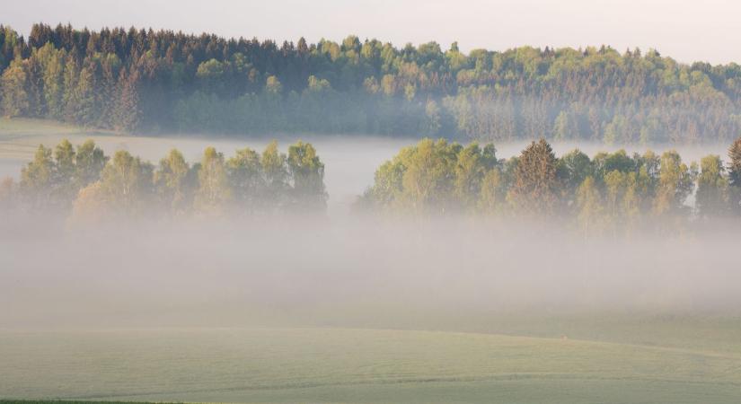 Marad a köd keddre is Fejérben
