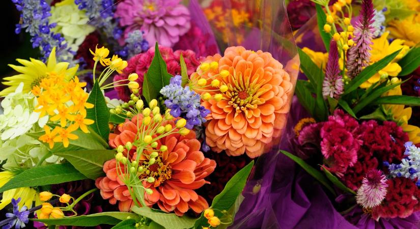 Ma, 2025. november 11., Márton névnapja van – Milyen a személyiségük?