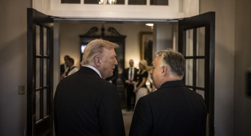 Kaszab Zoltán: Minden család a bőrén érzi Orbán és Trump jó kapcsolatát