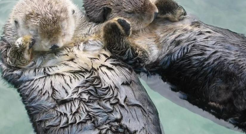 Passzív jövedelem kriptóval? A Binance új programja egy újabb esélyt ad erre