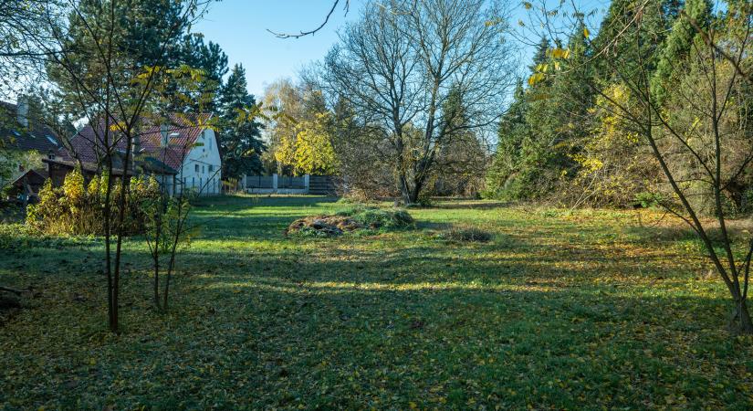 Évtizedes trükkel loptak el ingatlanokat Magyarországon, banki alkalmazott is súgott a lakásmaffiának