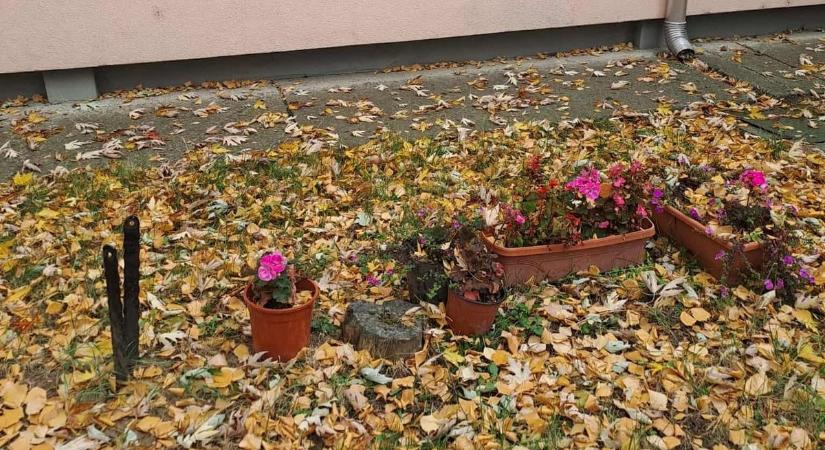 Szégyen! Újra lecsaptak a tolvajok a gyöngyösi óvodára