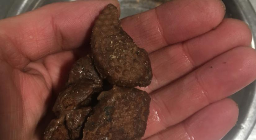 Kiakadt a Budakeszi Vadaspark, amiért emberi rágcsával etetik a látogatók az állatokat