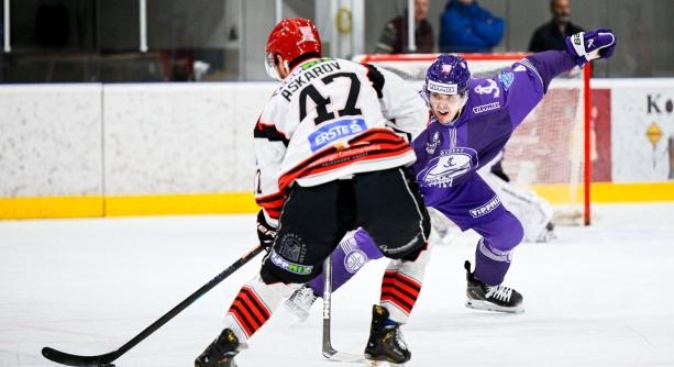 Újpesten folytatják a Bikák