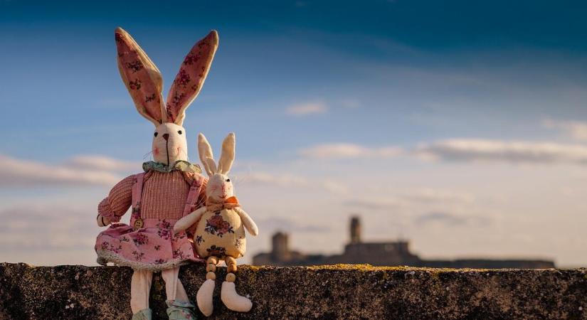 Újabb veszélyes vírus terjed Magyarországon