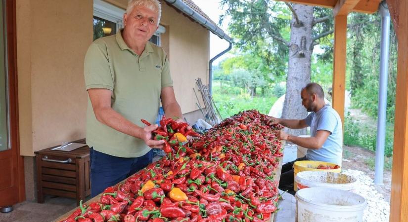 Egekbe szökött az őrölt fűszerpaprika ára, érzékenyen érinti a vásárlót
