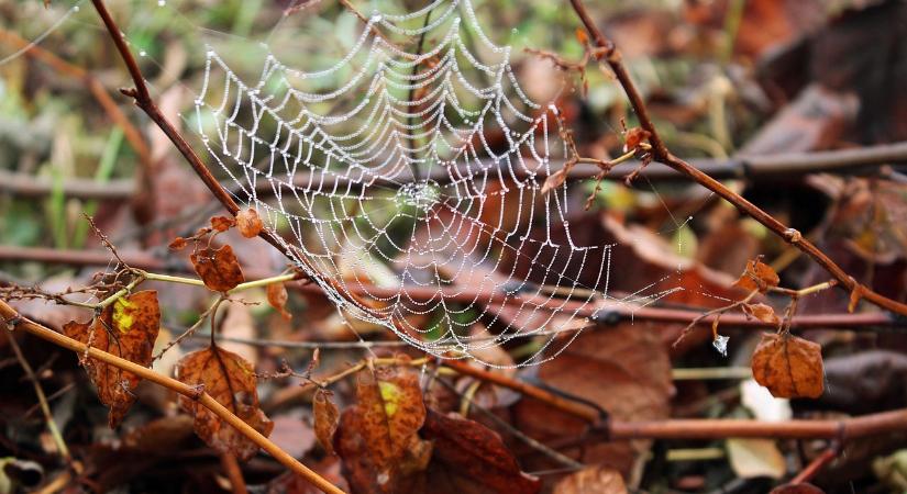 Felhős és ködös lesz a kedd, elszórtan csapadék
