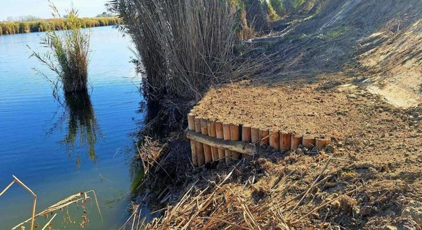 Horgászparadicsom a Holt-Tiszán: számos új helyet hoznak létre