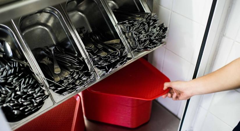 Tömeges megbetegedés volt veresegyházi iskolákban is, a NÉBIH is vizsgálódik