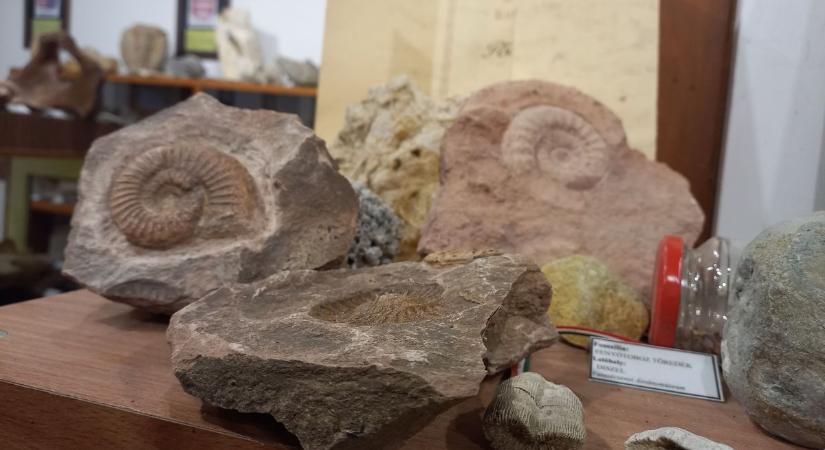 Ingyenes Ásványmúzeum – tudta, hogy a tulajdonosa író is?