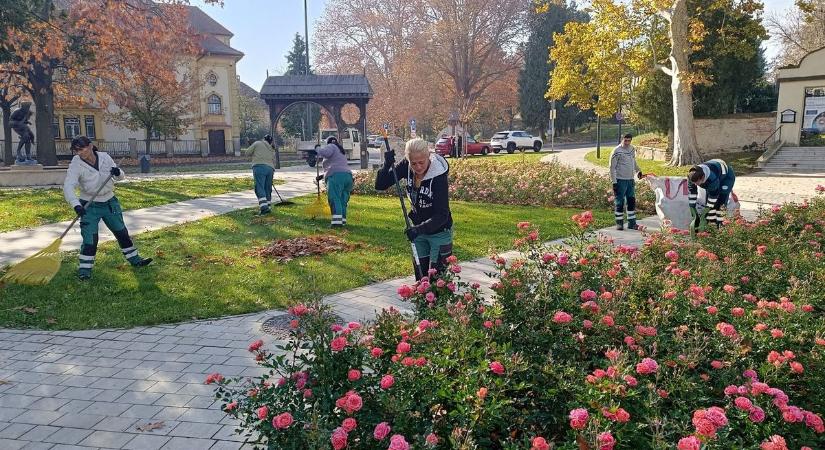 Így gyűjtik a lehullott faleveleket Zalaegerszegen – komposztálva visszakerülnek a természetbe