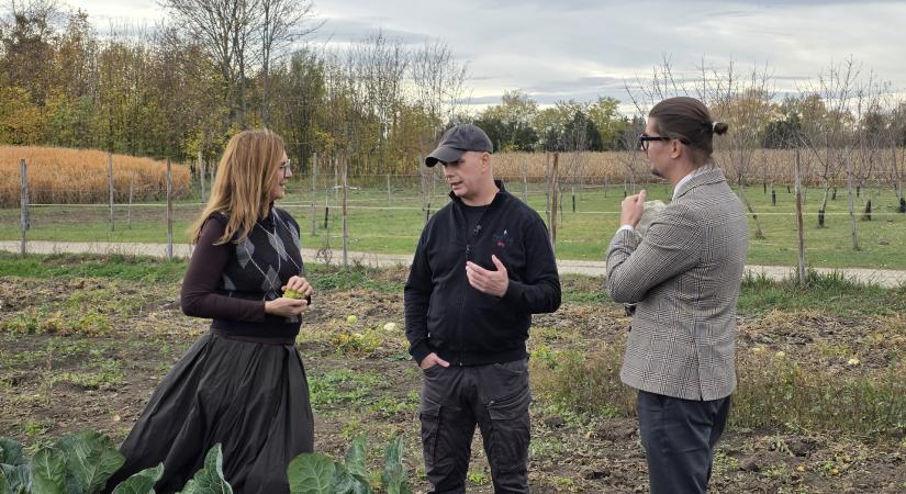 A tatai Platán Gourmet Étteremben jártunk