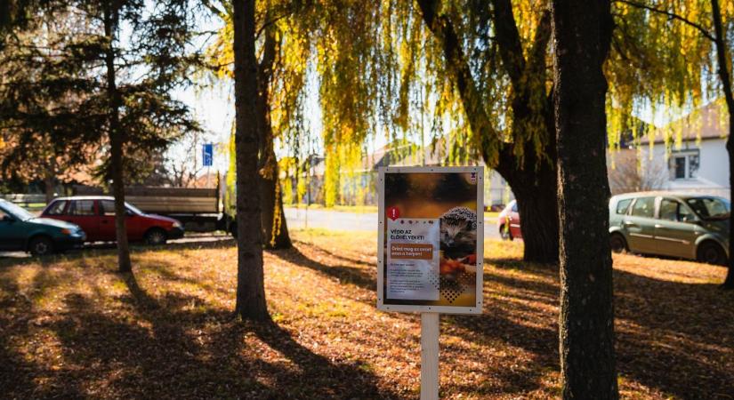 Idén ősszel több parkban nem gyűjtik össze a faleveleket ebben a városban, ez az oka