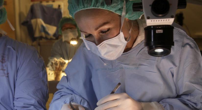 Többmilliárdos támogatással folytathatják a munkát a Debreceni Egyetem kutatócsoportjai