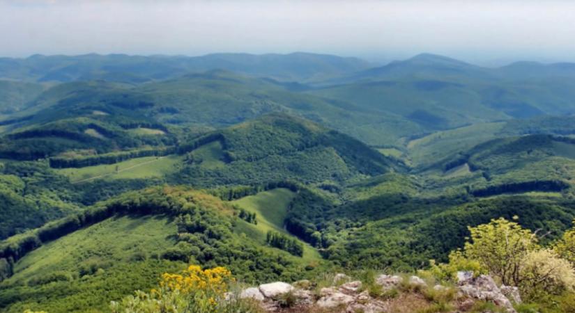 A magyarok kétharmada megállítaná a fakitermelést a természetvédelmi területeken