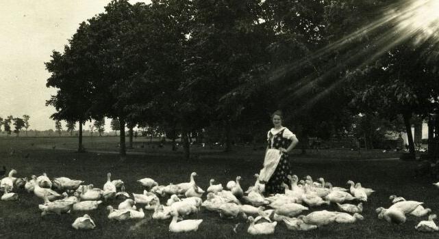 MÁRTON-NAP – Alábbszállt, egyszerűvé lett ünnep