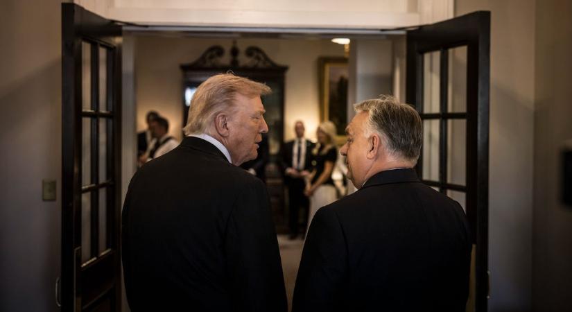 Az interjú, amire évek óta vár az ország: tizenkilencre húzott lapot Orbán, bemerészkedik az oroszlán barlangjába