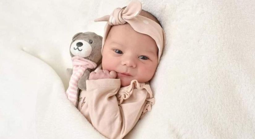 Újabb taggal bővült a Vidi-család