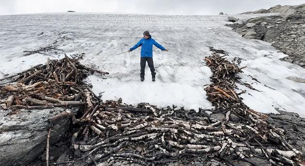1 500 éves fa rénszarvascsapdát találtak