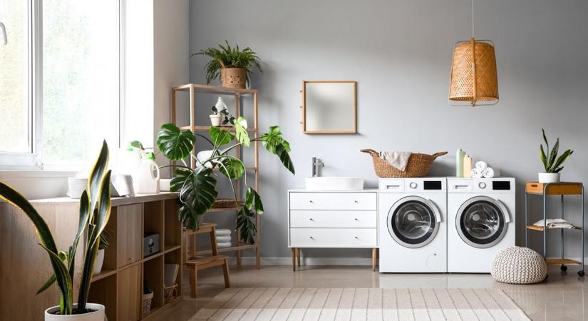 Környezetbarát szárítás – hogyan válassz energiatakarékos gépet?
