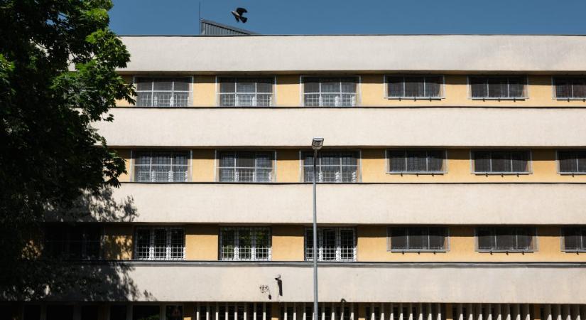 Szőlő utcai javítóintézet: több mint 100 millió forintot kereshettek a lányok futtatásával a gyanúsítottak, pénzmosással is gyanúsítják a volt igazgatót