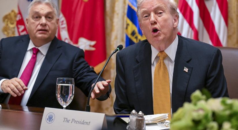 Három nap sem kellett, és Nagy Márton máris megmutatta, miért kellene védőpajzs a gazdaságnak