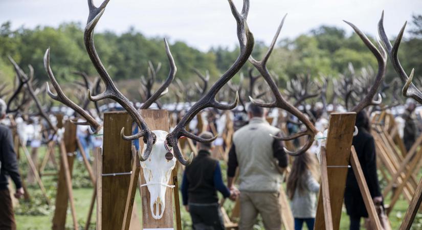 A magyar vadgazdálkodás a világ élvonalába tartozik