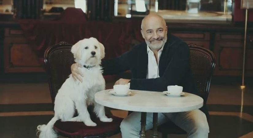 Vígszínház a Mentett Kutyákért – Naptár készült Rudolf Péterrel és a teátrum háttércsapatával