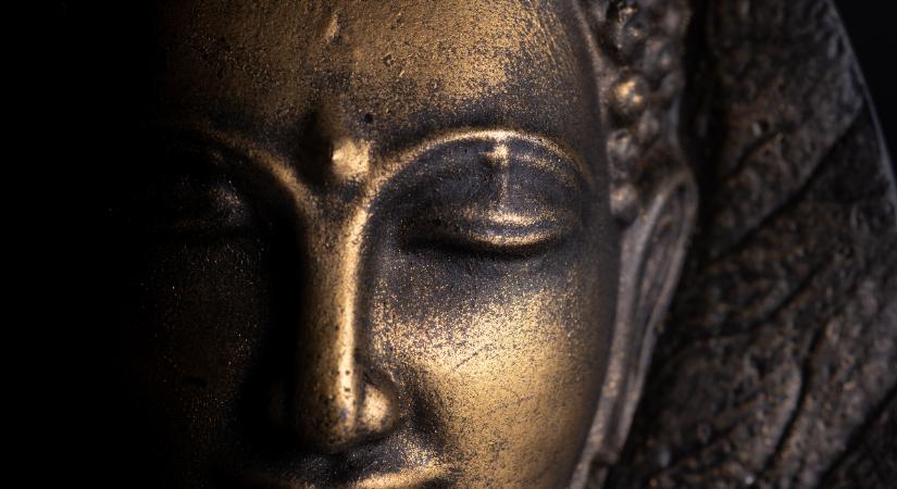 Teremts tiszta szívből: spirituális gyakorlat az év utolsó tízmilliószoros, teremtő napjára