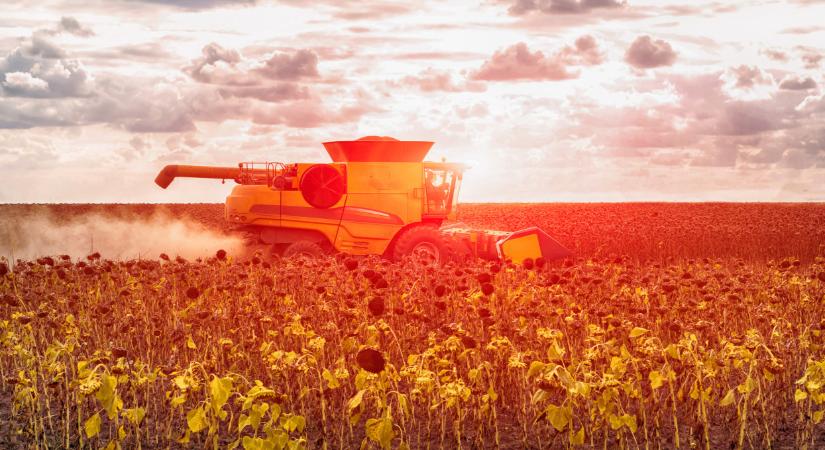 Fordulópont előtt a magyar mezőgazdaság, enélkül már nincs sikeres jövő