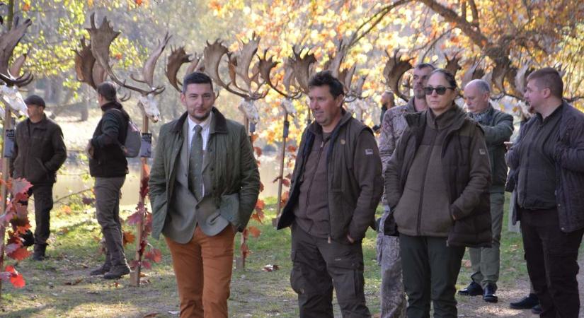 Trófearekord Tolnában – a magyar vadászat új aranykora? (képgaléria, videó)