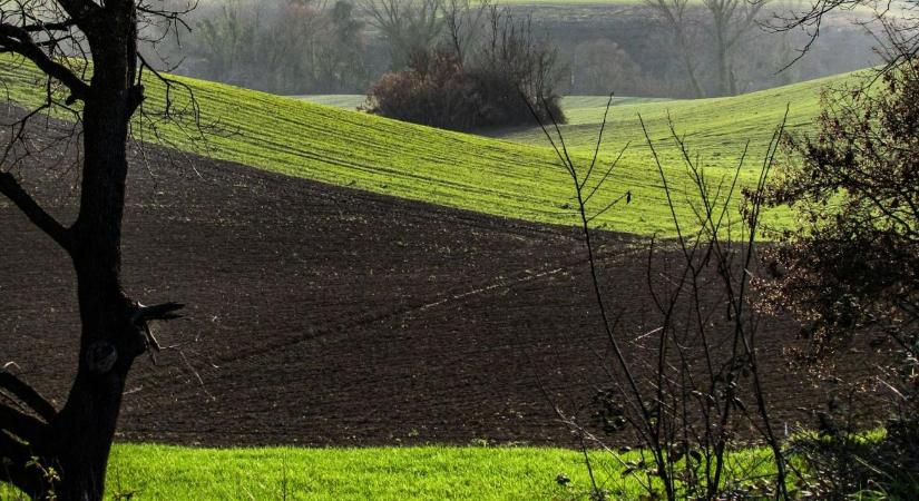 Jó hír: egyszerűbb uniós agrárszabályok jönnek